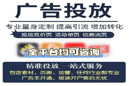 成功运用SEM技术提升网站流量的案例研究